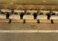 36 Sporen van het Verbindings Rubbergraafwerktuig, Vervangings Rubbersporen voor Graafwerktuigen